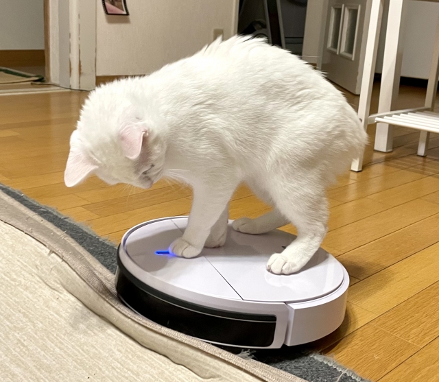 猫砂をよく吸う掃除機の選び方５選